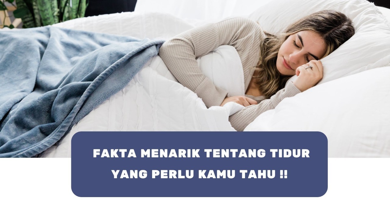 Fakta Menarik tentang Tidur yang Perlu Kamu Tahu!